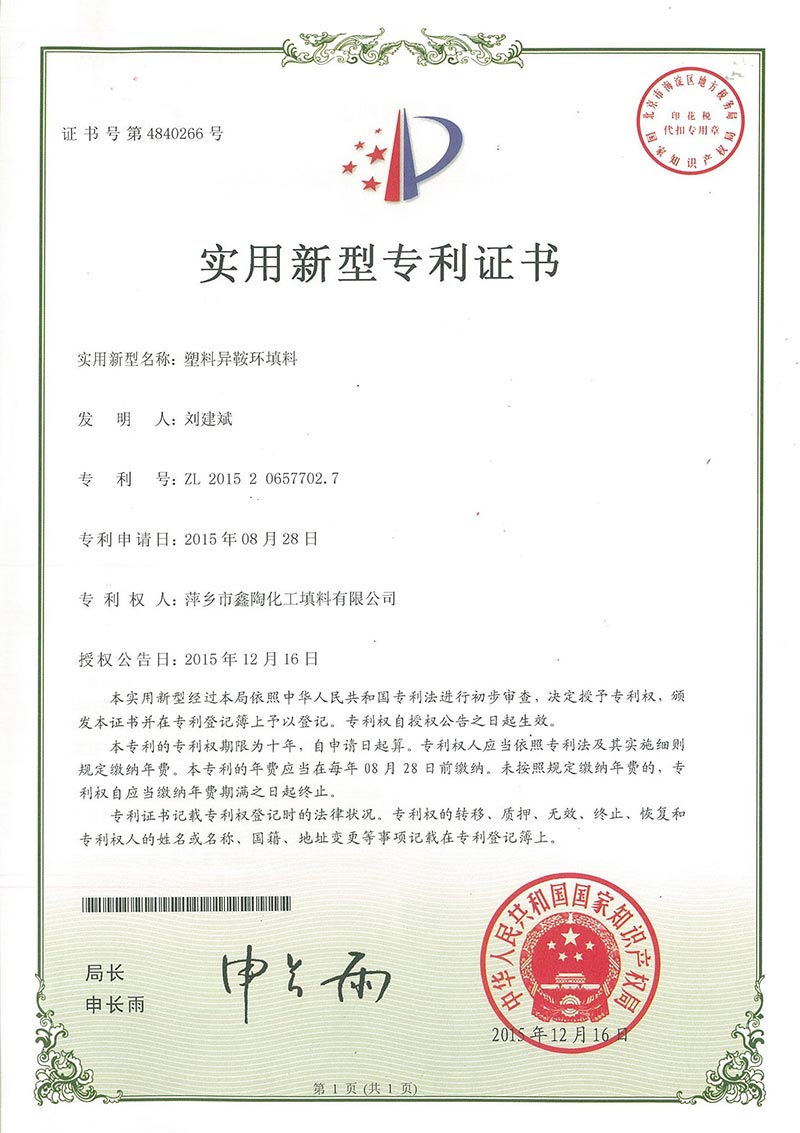 Patent.jpg